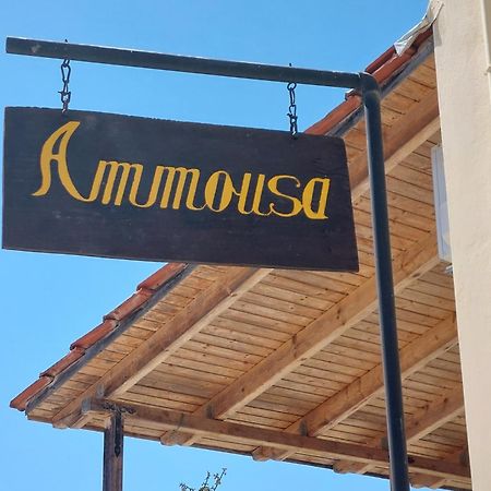 Ammousa Hotel Apartments Lixouri Extérieur photo