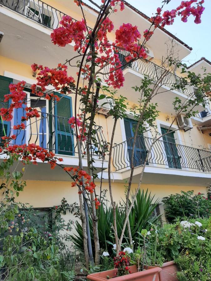 Ammousa Hotel Apartments Lixouri Extérieur photo