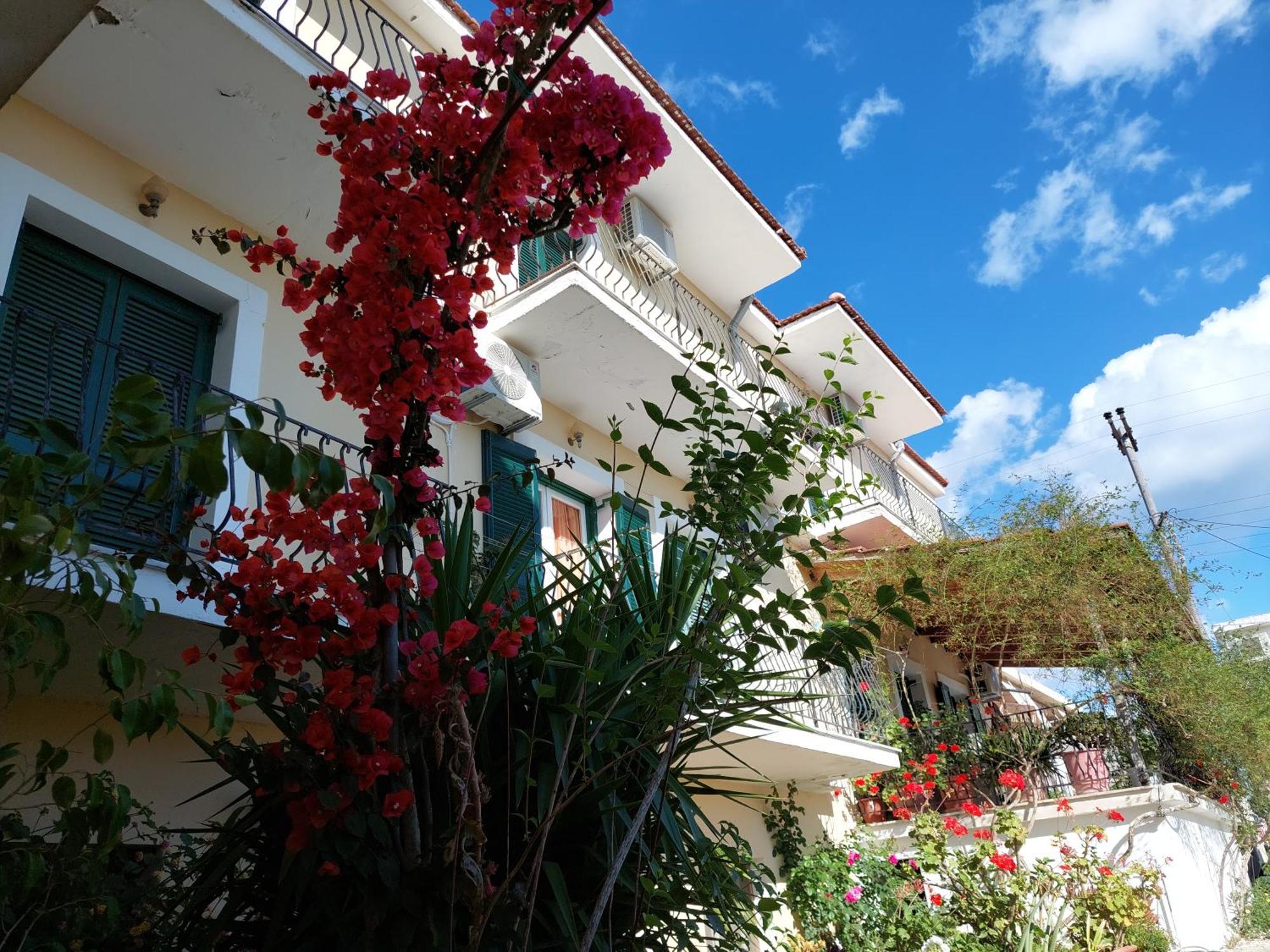 Ammousa Hotel Apartments Lixouri Extérieur photo