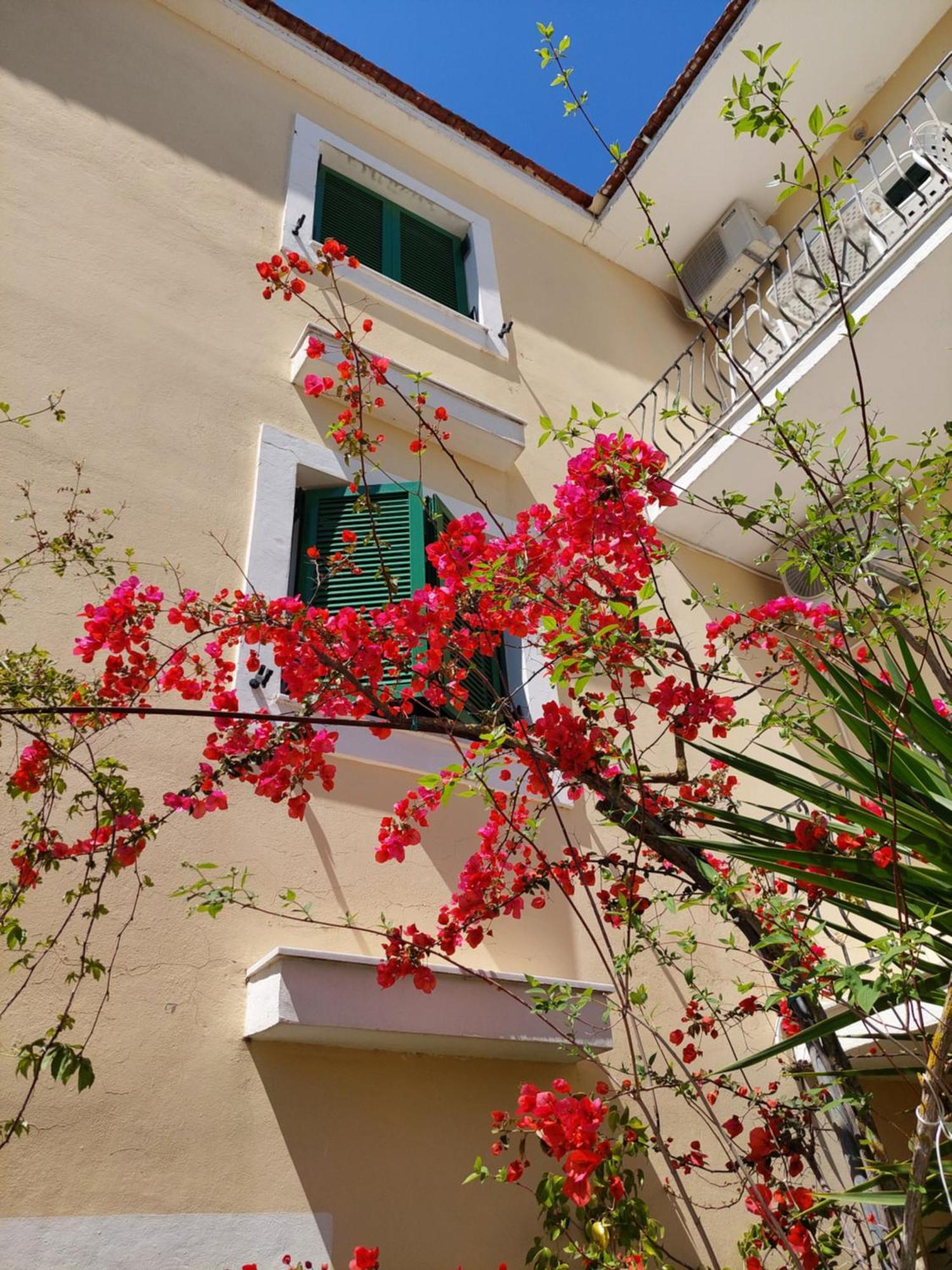 Ammousa Hotel Apartments Lixouri Extérieur photo